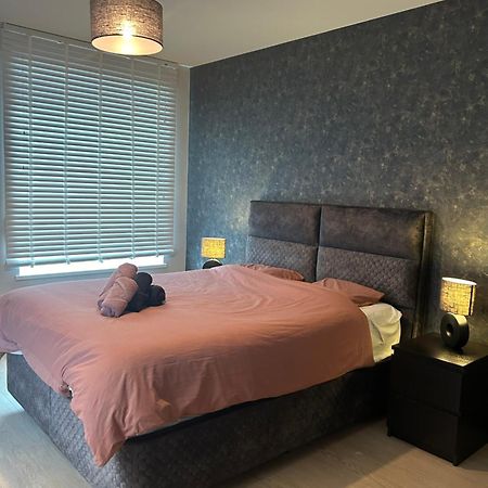 Oostendelle المظهر الخارجي الصورة